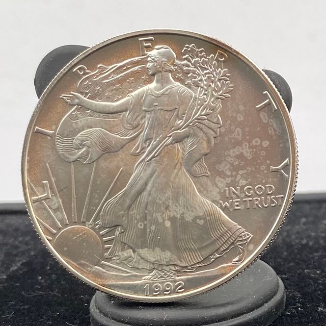 Hovedbilde USA: 1 Dollar Silver Eagles 1992