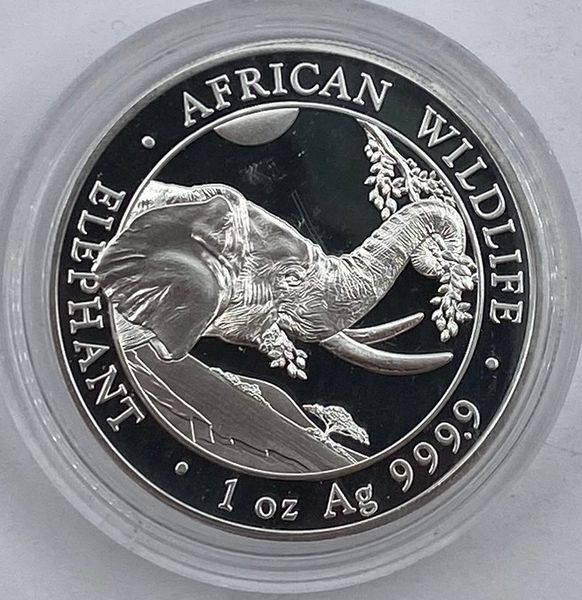 Hovedbilde Somalia: 100 shilling 2023. Elefant