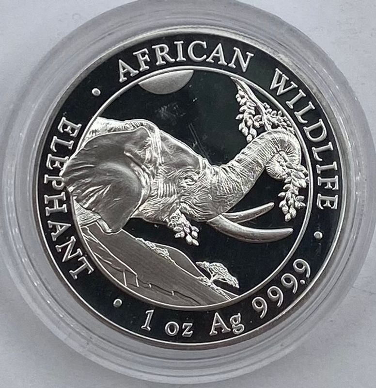 Somalia: 100 shilling 2023. Elefant