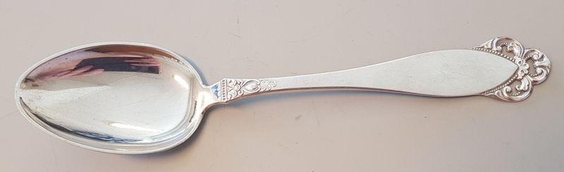 Laila: Liten spiseskje 16,5 cm.
