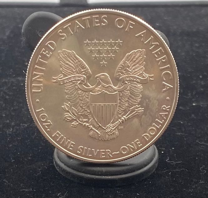 Hovedbilde USA: 1 Dollar Silver Eagles 2008